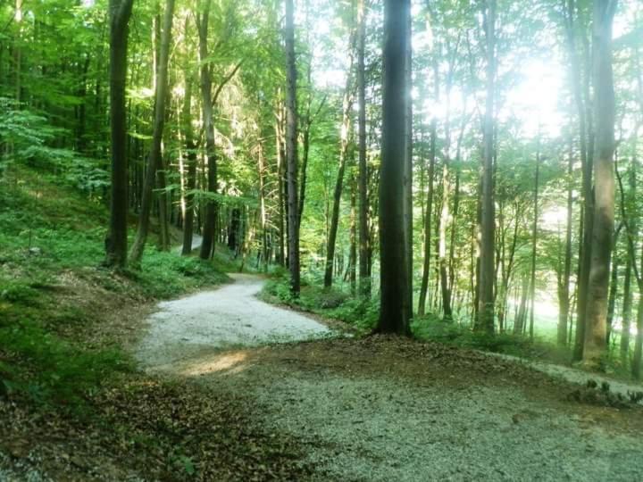 Apartmani Ramonda Teslić المظهر الخارجي الصورة